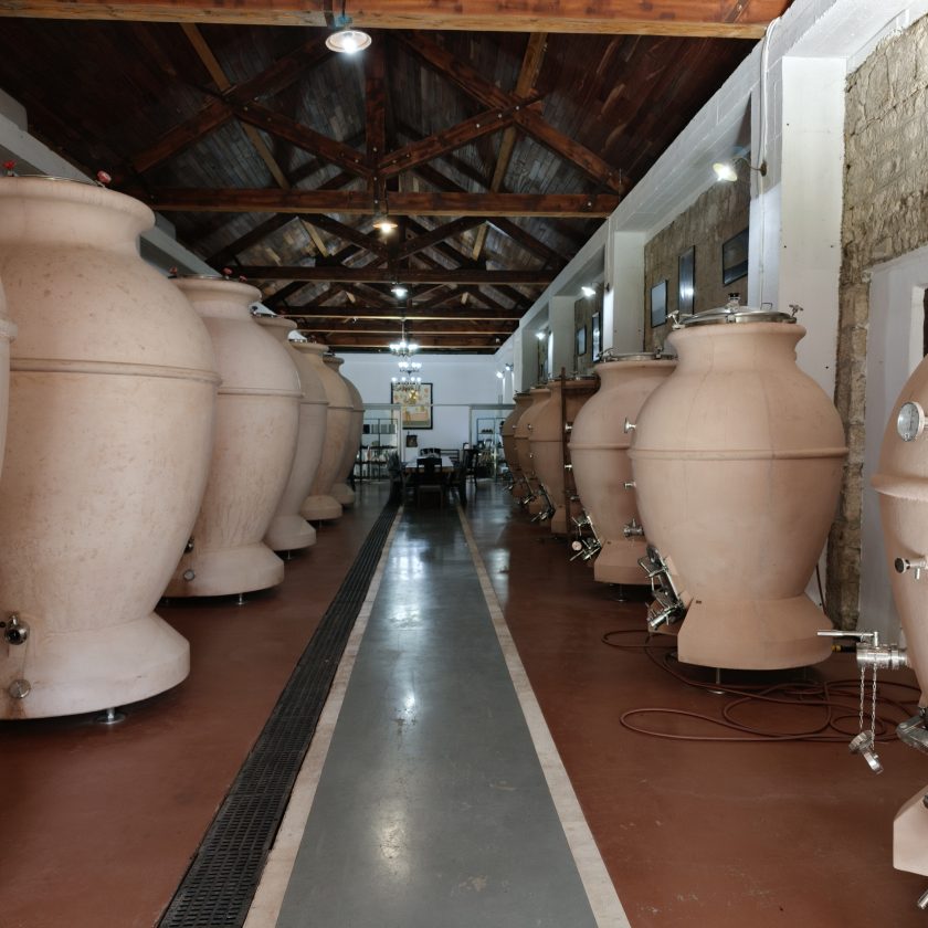 Vinarium 2026 il vino romeno tra Dealu Mare, Fetească Neagră e monasteri