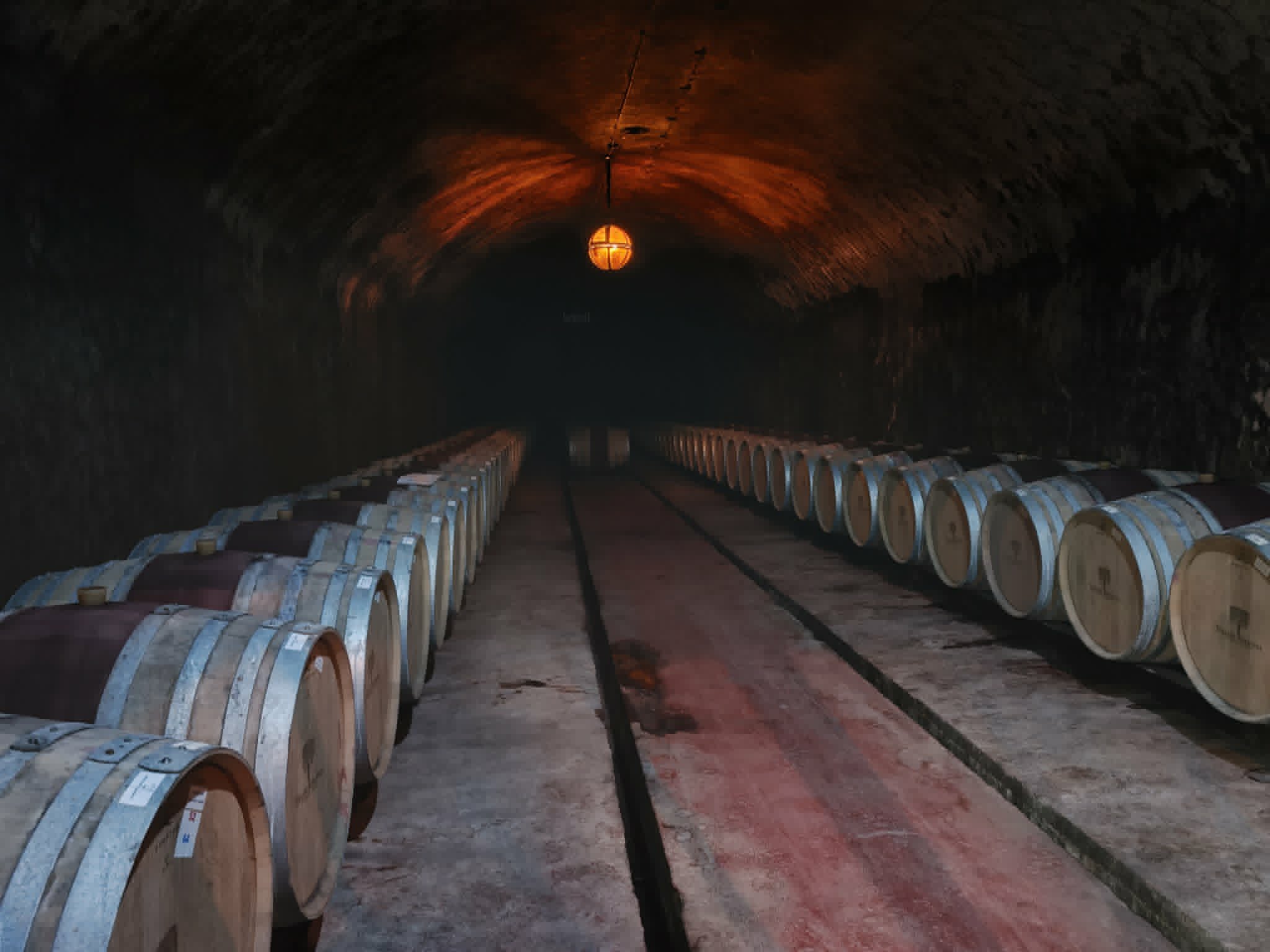Vinarium 2026 il vino romeno tra Dealu Mare, Fetească Neagră e monasteri