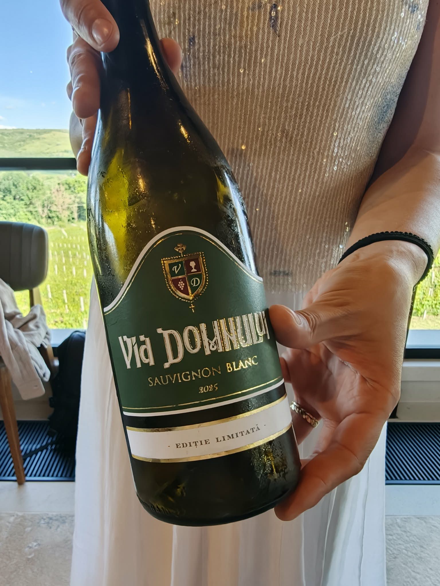 Vinarium 2026 il vino romeno tra Dealu Mare, Fetească Neagră e monasteri