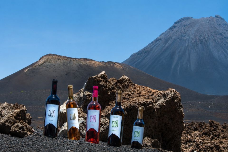 Volcanic, savory, and extreme: the Fire Wines of Cape Verde, Adega Chã, Adega Sodade, and Adega Maria Chaves (4)