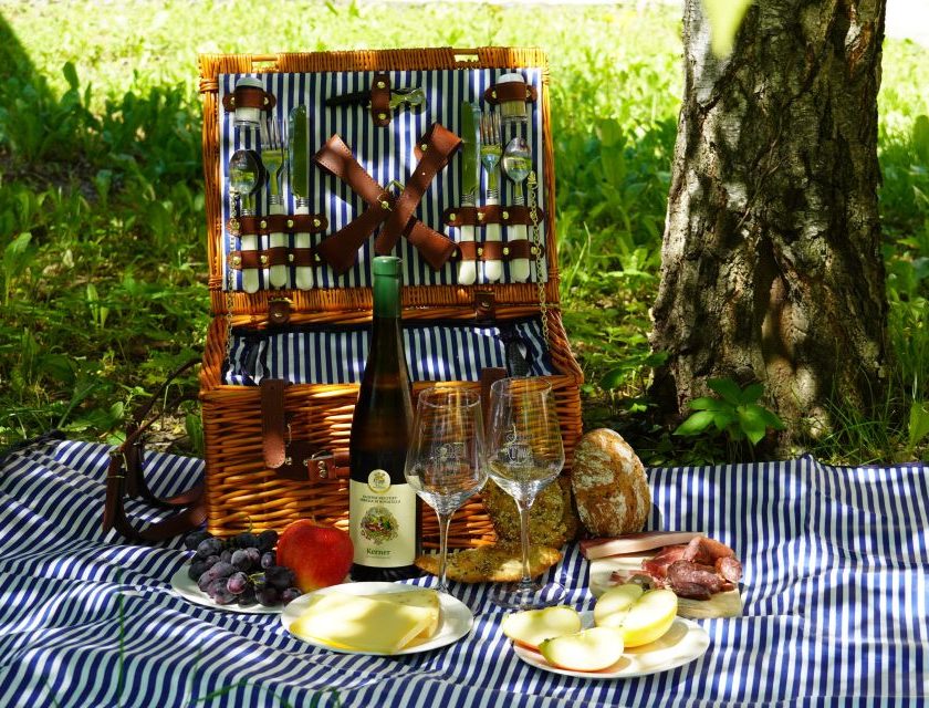 Bressanone e Valle Isarco, il vino diventa motore del turismo esperienziale