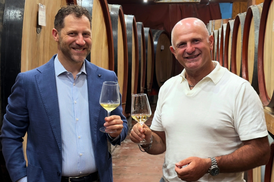 Cantina di Solopaca, Marco Giulioli nuovo enologo