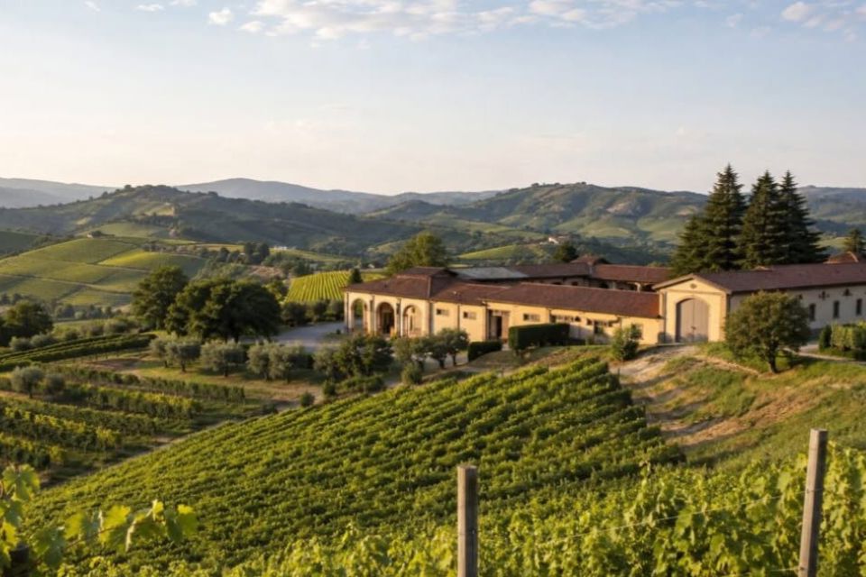 Cantine Ermes amplia la presenza in Oltrepò Pavese gestirà l’Azienda Agricola Scagno