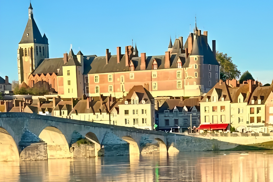 Coteaux du Giennois, alternativa qualità-prezzo a Sancerre e Pouilly-Fumé. La piccola denominazione del Centro Loira si fa largo sui mercati centre loire