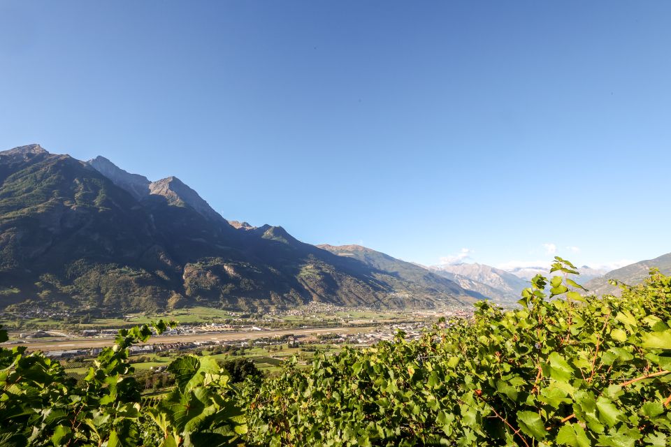 DegustaVigna 2026, Grosjean rilancia gli eventi tra i vigneti della Valle d’Aosta