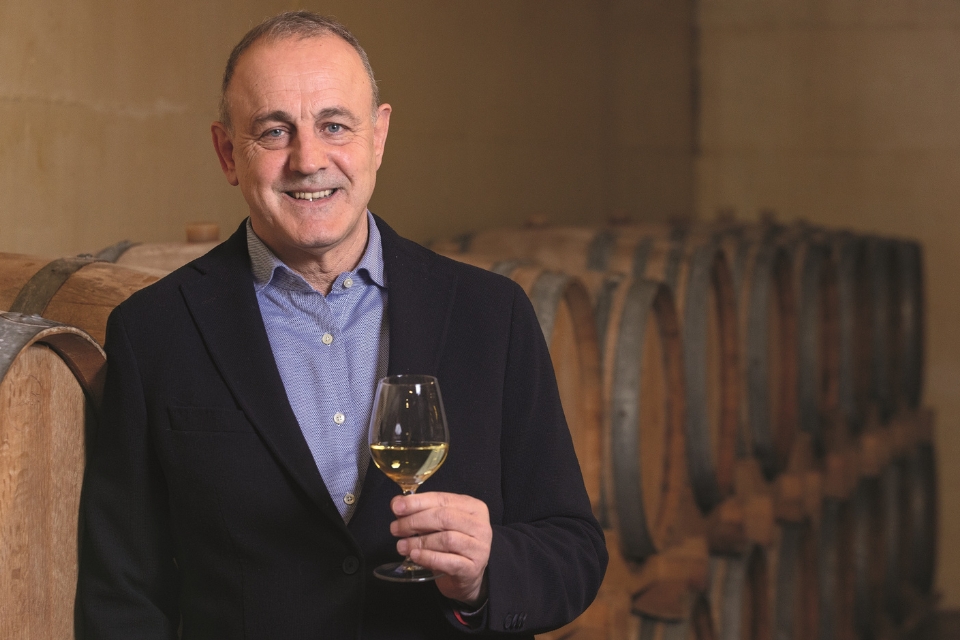 Doc Friuli Rosato e Ribolla gialla ferma nel nuovo disciplinare del Consorzio Doc Friuli. Ecco perché i produttori vogliono i due nuovi vini