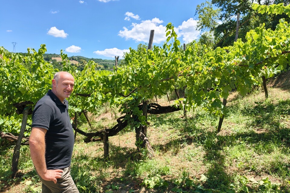 Enzo Rillo chiama Nicolas Secondé risponde Cantina del Taburno punta sul Metodo classico con enologo della Champagne. Nascerà il Consorzio (14)