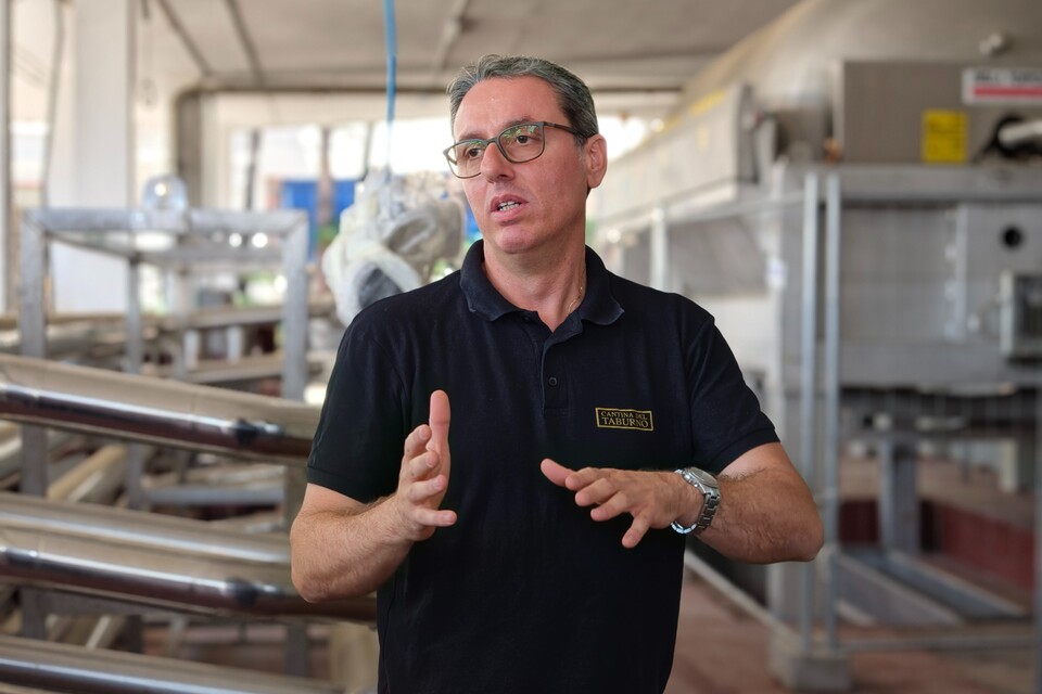 Enzo Rillo chiama Nicolas Secondé risponde Cantina del Taburno punta sul Metodo classico con enologo della Champagne. Nascerà il Consorzio (15)