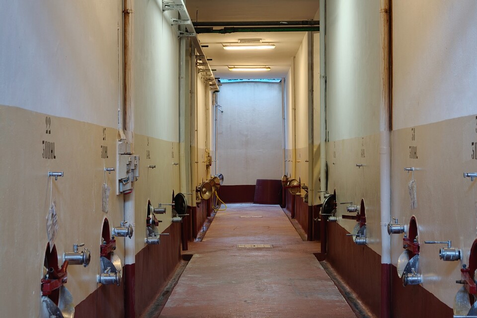 Enzo Rillo chiama Nicolas Secondé risponde Cantina del Taburno punta sul Metodo classico con enologo della Champagne. Nascerà il Consorzio (16)