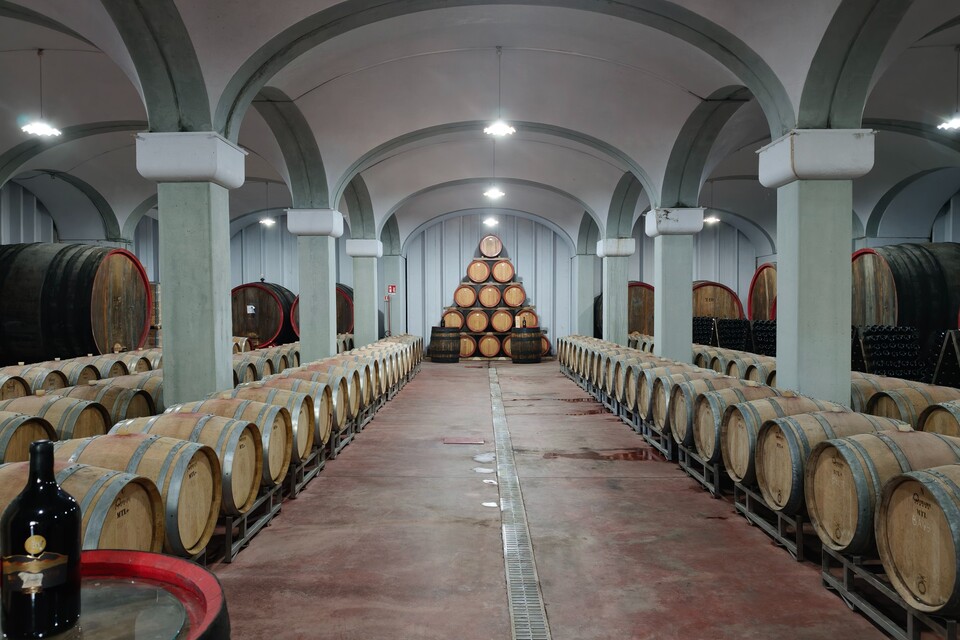 Enzo Rillo chiama Nicolas Secondé risponde Cantina del Taburno punta sul Metodo classico con enologo della Champagne. Nascerà il Consorzio (17)