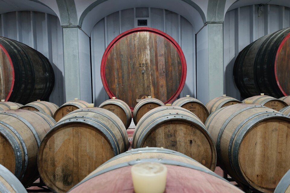 Enzo Rillo chiama Nicolas Secondé risponde Cantina del Taburno punta sul Metodo classico con enologo della Champagne. Nascerà il Consorzio (18)