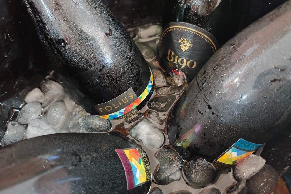 Enzo Rillo chiama Nicolas Secondé risponde Cantina del Taburno punta sul Metodo classico con enologo della Champagne. Nascerà il Consorzio (7)