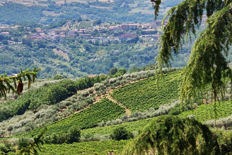 Enzo Rillo chiama Nicolas Secondé risponde Cantina del Taburno punta sul Metodo classico con enologo della Champagne. Nascerà il Consorzio (9)