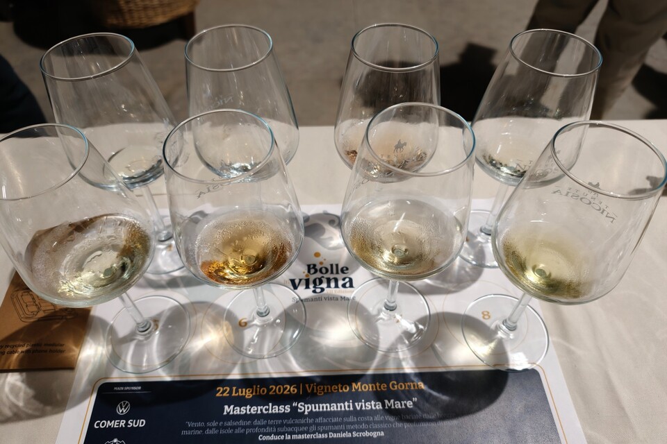 Can Etna become an international-level sparkling wine region vigne in bolla tenute nicosia 2026 editorial davide bortone (2)