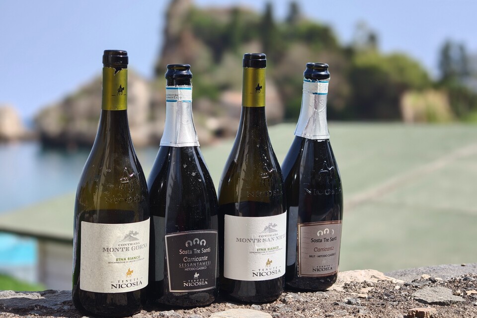 Can Etna become an international-level sparkling wine region vigne in bolla tenute nicosia 2026 editorial davide bortone (5)