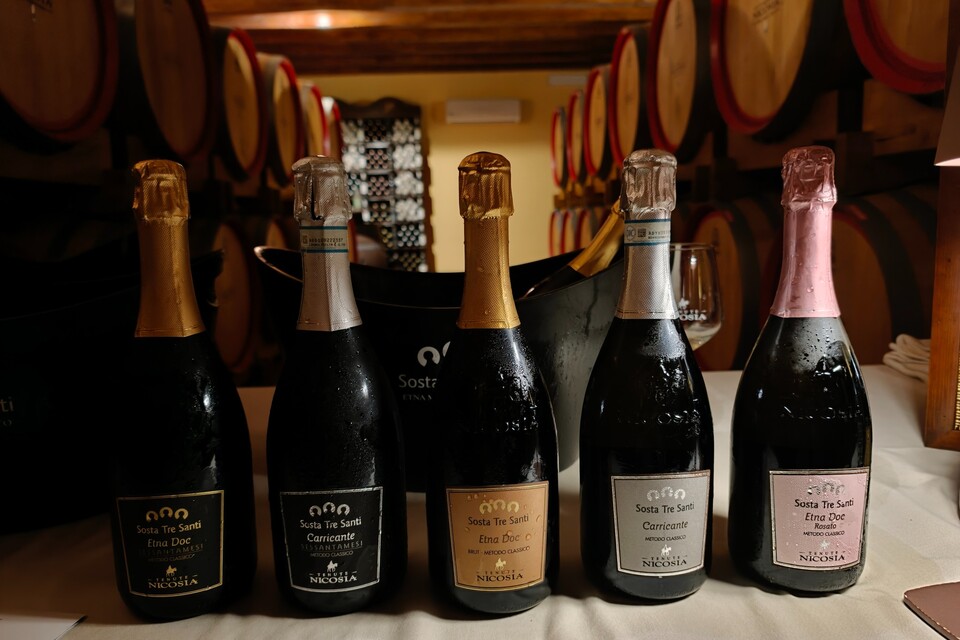 Can Etna become an international-level sparkling wine region vigne in bolla tenute nicosia 2026 editorial davide bortone (9)
