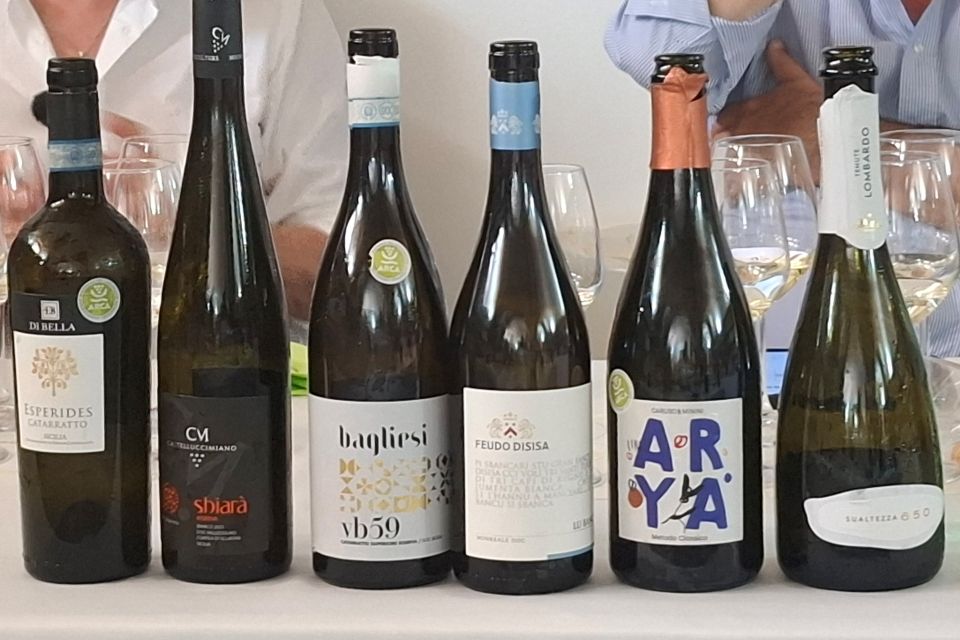 Festa del Catarratto 2026 con ARCA prende forma il rilancio del vitigno simbolo della Sicilia