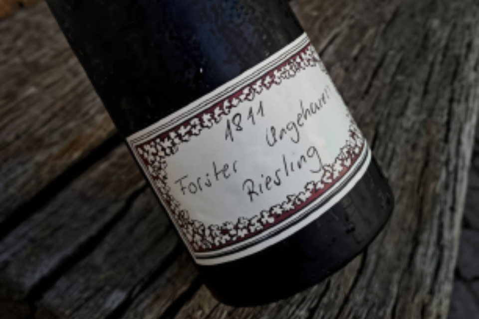 Forster Ungeheuer Riesling del 1811 all’asta su Catawiki