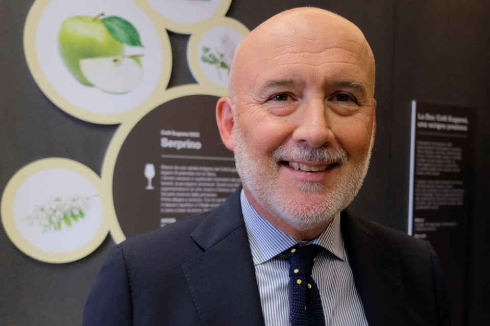 Gianluca Carraro confermato presidente del Consorzio Vini Colli Euganei. Secondo mandato, prima volta per Luca Calaon. Tutti i nomi del Cda
