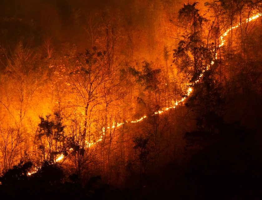 Gironde Fires, Union des Grands Crus de Bordeaux "Vineyards Unscathed, No Impact on Grapes" statement François-Xavier Maroteaux, Grégory Citerneschi President of the UG