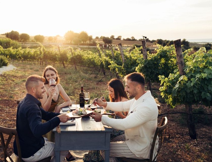 Masseria AuraTerrae l’esperienza rurale tra vendemmia e digital detox