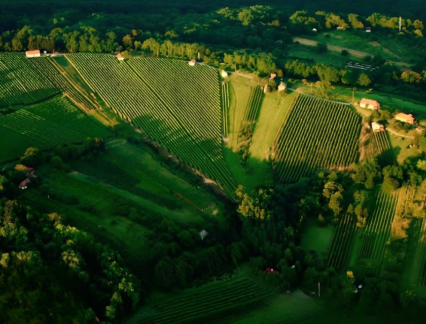 Mura Murai è la nuova Dop del vino ungherese al confine con la Croazia