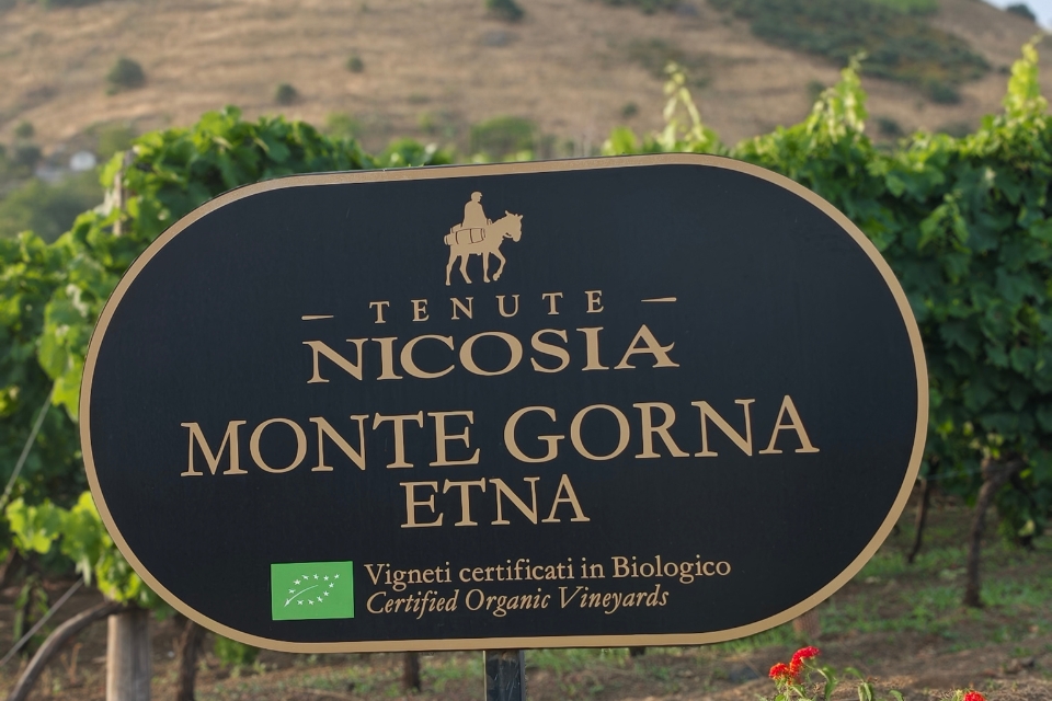 tenute nicosia, monte gorna vigne in bolla 2026