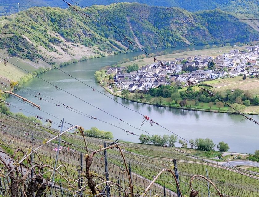 Il Riesling della Mosella è in crisi vigneti eroici e cantine a rischio (1)