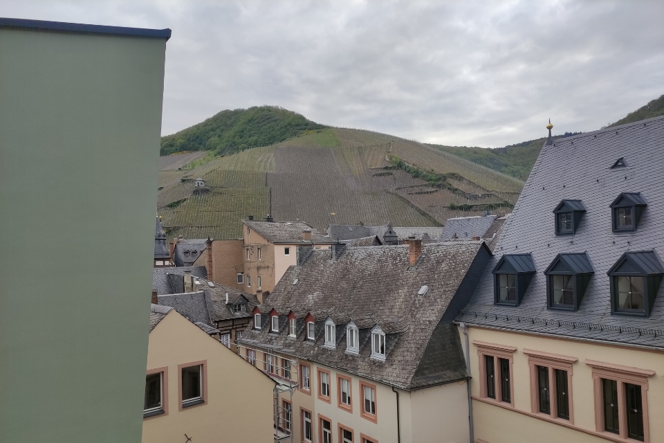 Il Riesling della Mosella è in crisi vigneti eroici e cantine a rischio