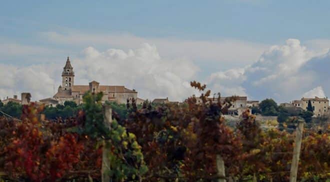 Migliori vini di Maiorca punteggi DO Binissalem (Mallorca, Baleari)