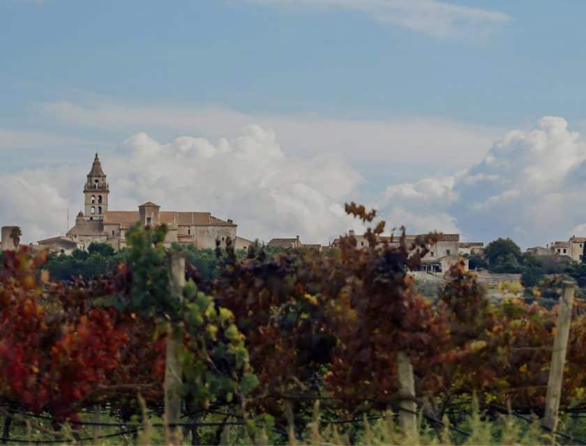 Migliori vini di Maiorca punteggi DO Binissalem (Mallorca, Baleari)