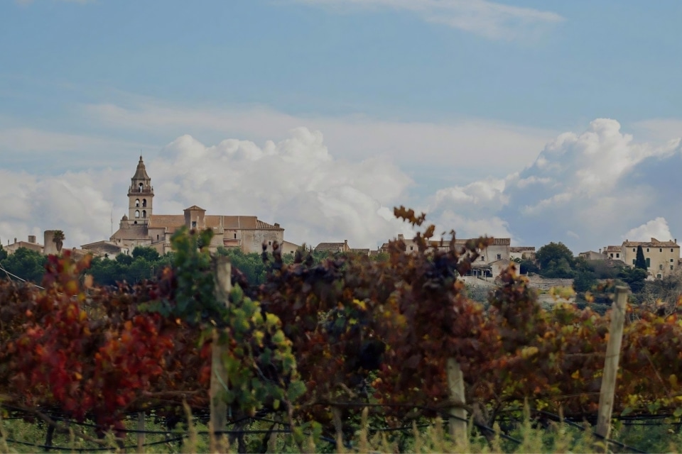 Migliori vini di Maiorca punteggi DO Binissalem (Mallorca, Baleari)