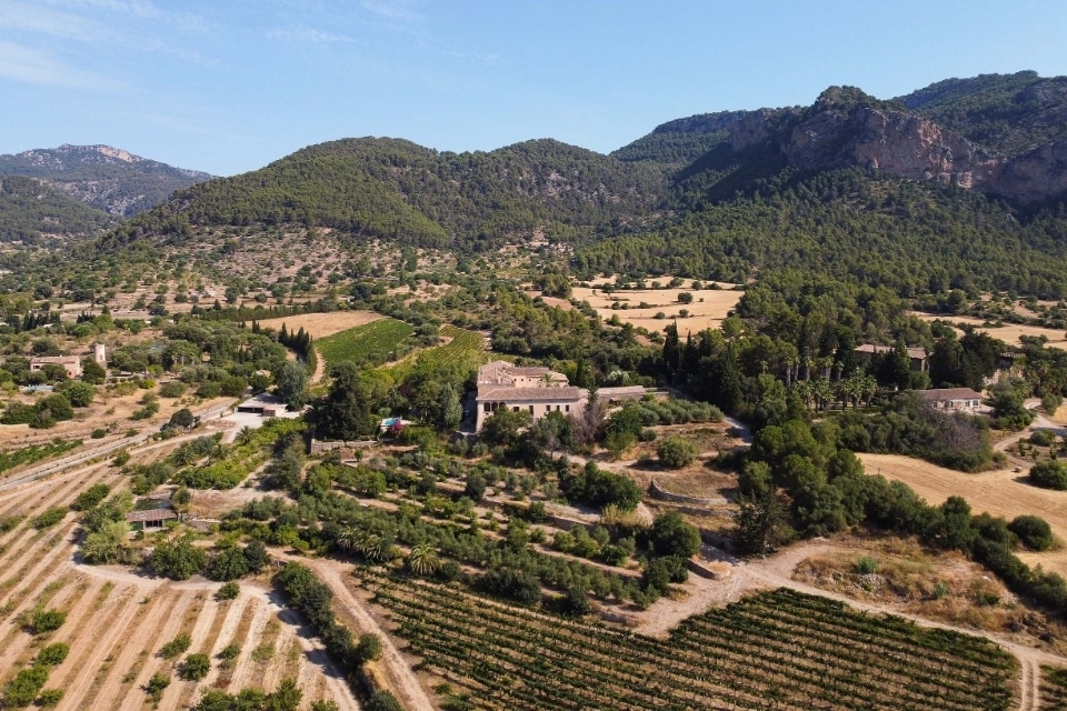 Best wines of Mallorca PGI Mallorca scores - Vi de La Terra (Mallorca, Balearic Islands)