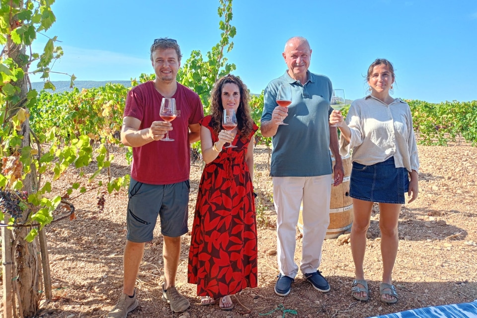 Vendemmia 2026 anticipata a Maiorca raccolti già 15.829 quintali di uva. Il dato attuale riguarda la sola Igp Vi de la Terra Mallorca.