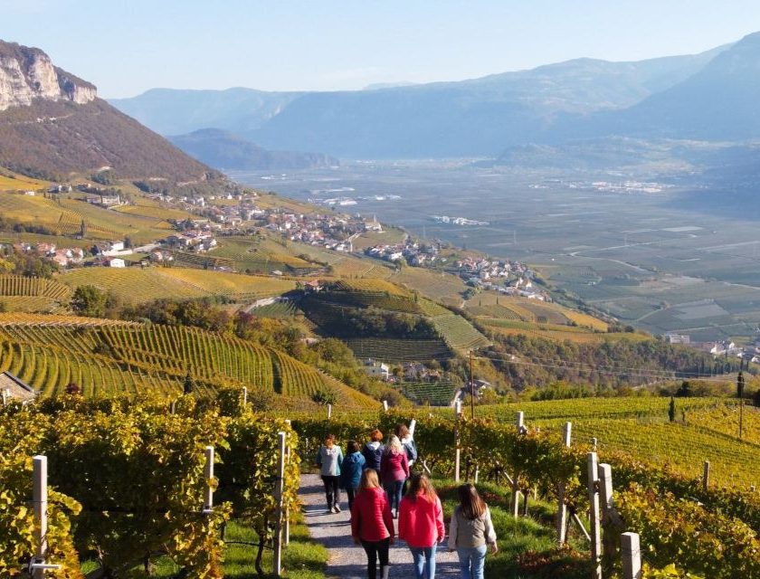 Cantina Kurtatsch, fatturato record a 12,34 milioni di euro crescita dell’11,08%