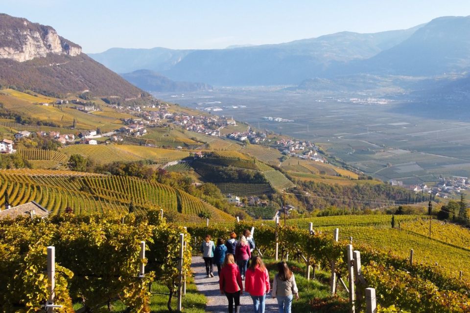 Cantina Kurtatsch, fatturato record a 12,34 milioni di euro crescita dell’11,08%