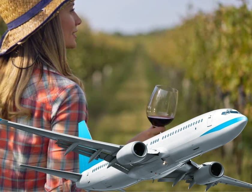 Cantine vicino alle città da Vienna a Santiago, il vino a pochi chilometri dal centro. L'ultima è cantina Terradesa, a un passo dall'aeroporto di Milano Malpensa
