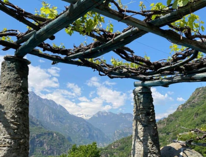Festa dell’Uva e del Vino di Carema 2026 dal 21 al 27 settembre la 74ª edizione