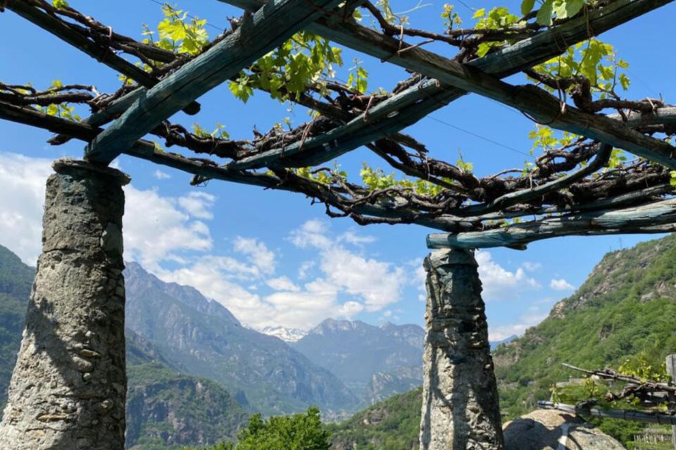 Festa dell’Uva e del Vino di Carema 2026 dal 21 al 27 settembre la 74ª edizione