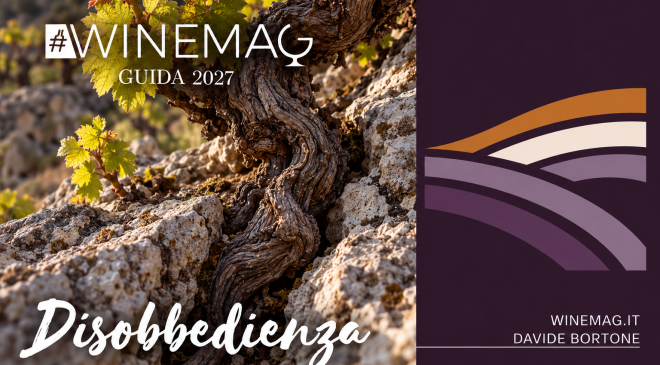 Guida Winemag 2027, Disobbedienza migliori vini e cantine italiane dell'anno