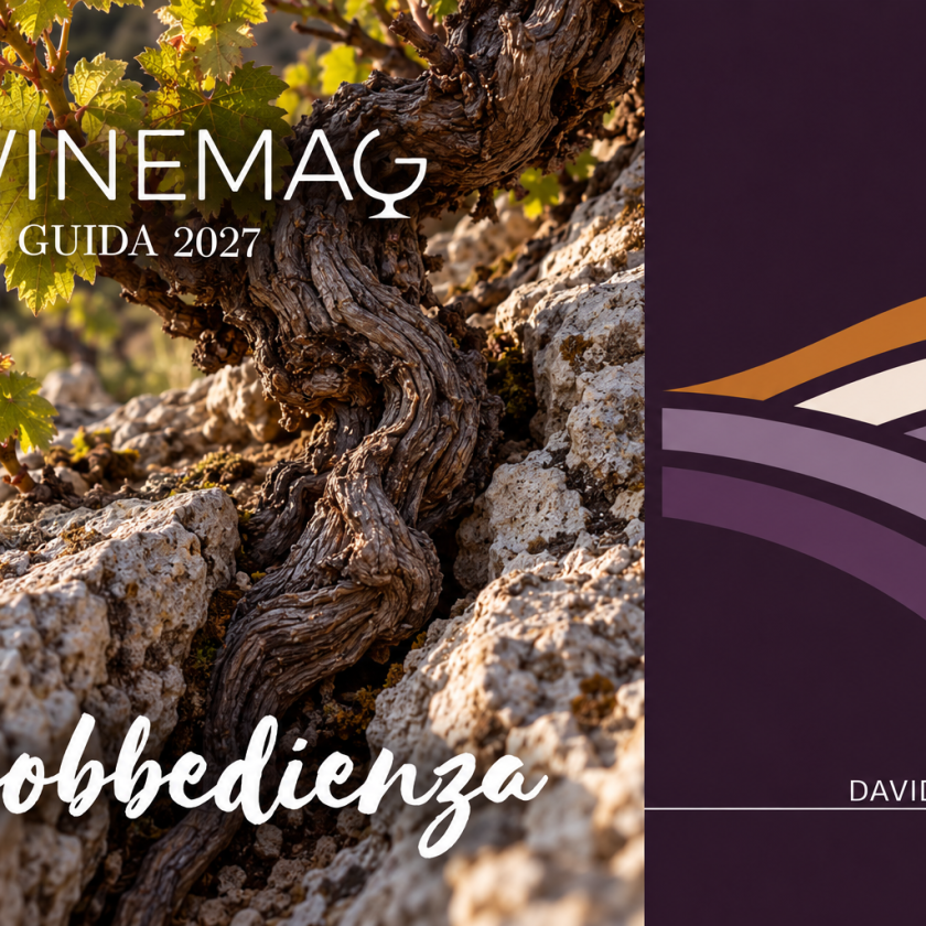 Guida Winemag 2027, Disobbedienza migliori vini e cantine italiane dell'anno