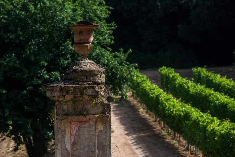 «Radici Autoctone», il progetto di Tenuta Fontana che valorizza i vitigni tradizionali della Campania