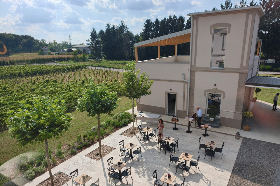 Una nuova cantina-albergo produce Piwi vicino aeroporto Milano-Malpensa è Terradesa enologo mario falcetti con i suoi vitigni resistenti e tre camere per ospiti oggi inaugurazione a cassano magnago