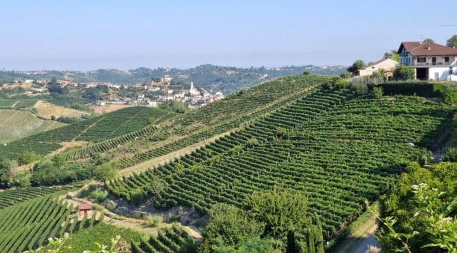 Vinchio Vaglio, il “nido della Barbera” identità, equilibrio e capacità di evolvere