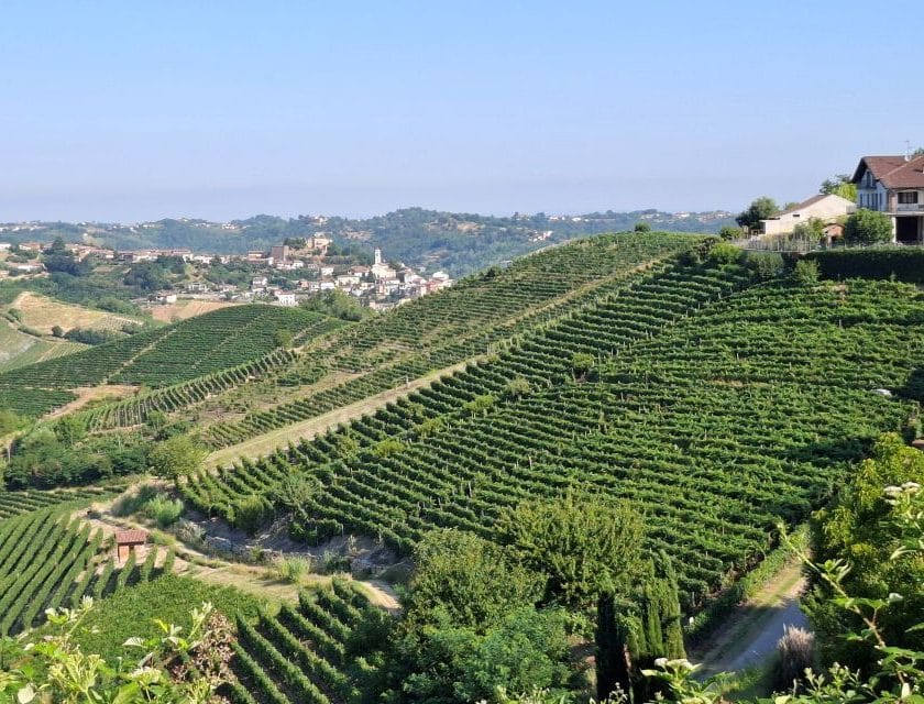 Vinchio Vaglio, il “nido della Barbera” identità, equilibrio e capacità di evolvere