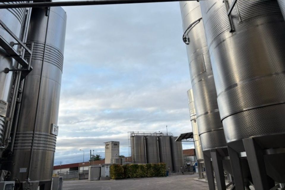 75 anni cantina rauscedo La cooperativa friulana celebra i settentacinque anni (1)