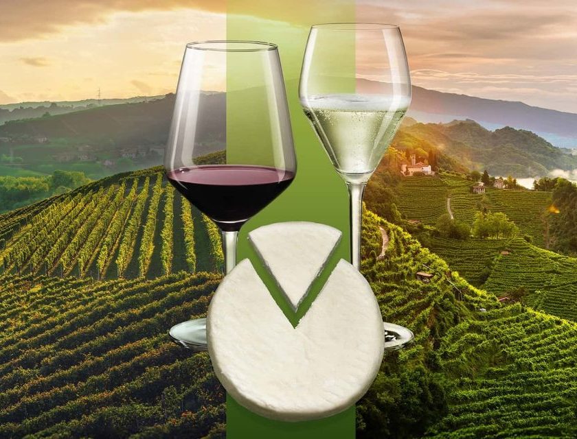 Born Sustainable: Prosecco Superiore, Barbera d'Asti e Roccaverano Dop insieme per la sostenibilità