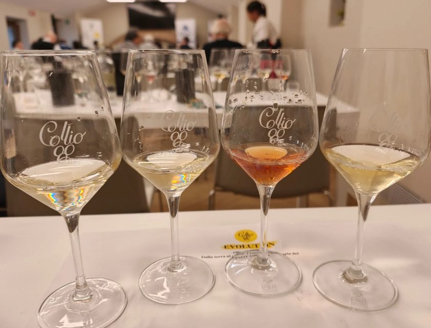 Collio Evolution 2026, il Pinot Grigio del Collio sfida il tempo