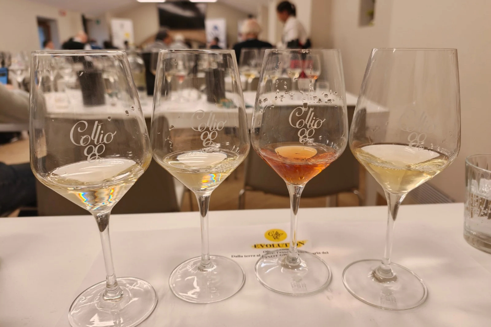 Collio Evolution 2026, il Pinot Grigio del Collio sfida il tempo