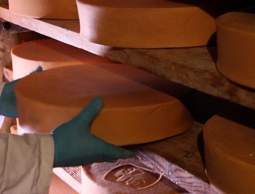 FontinaMI 2026 a Milano 12 ristoranti celebrano la Fontina DOP dal 16 al 29 novembre